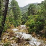 No pudo ser. Escuece.