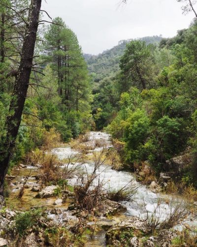 No pudo ser. Escuece.