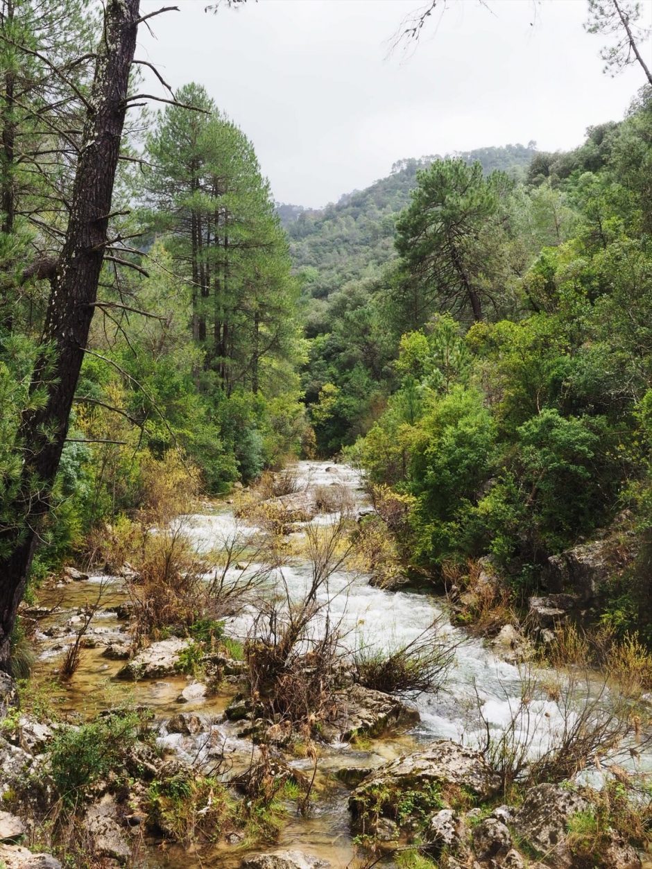 No pudo ser. Escuece.