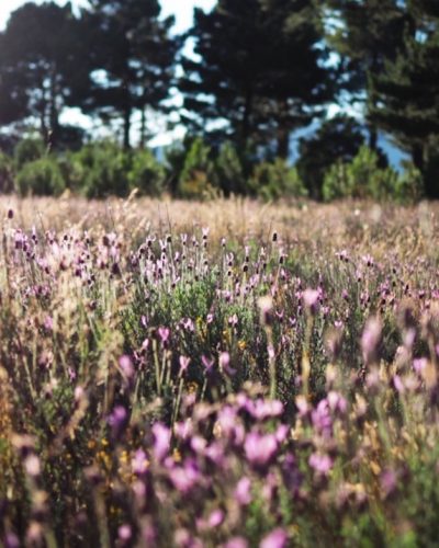 Hilos o terapia, lo mismo da