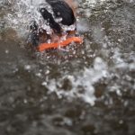 Un galimatías en el que es verano