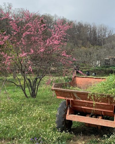 Habría sido el día