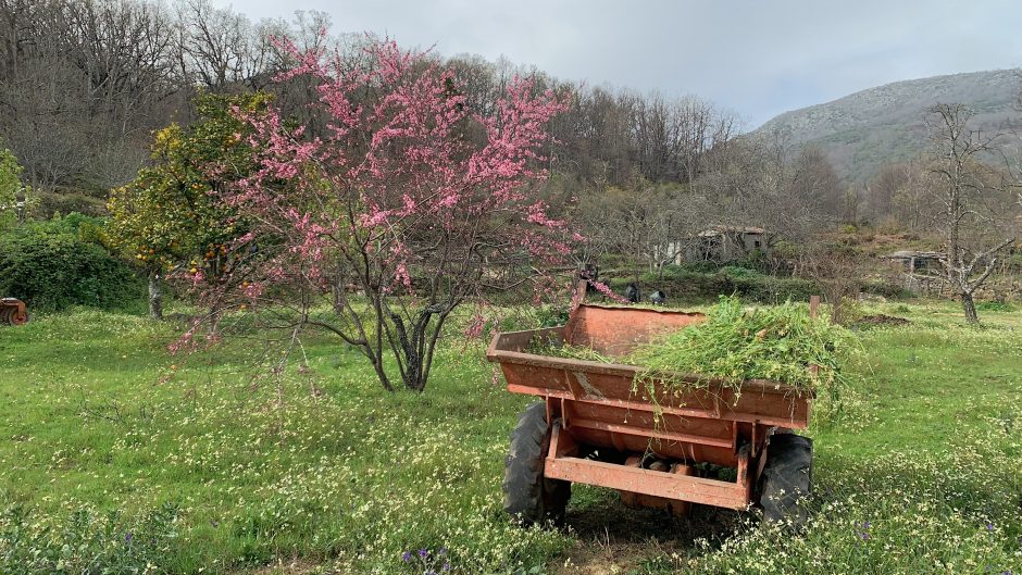 Habría sido el día