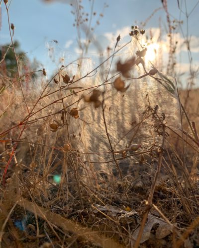 La soledad no cura nada