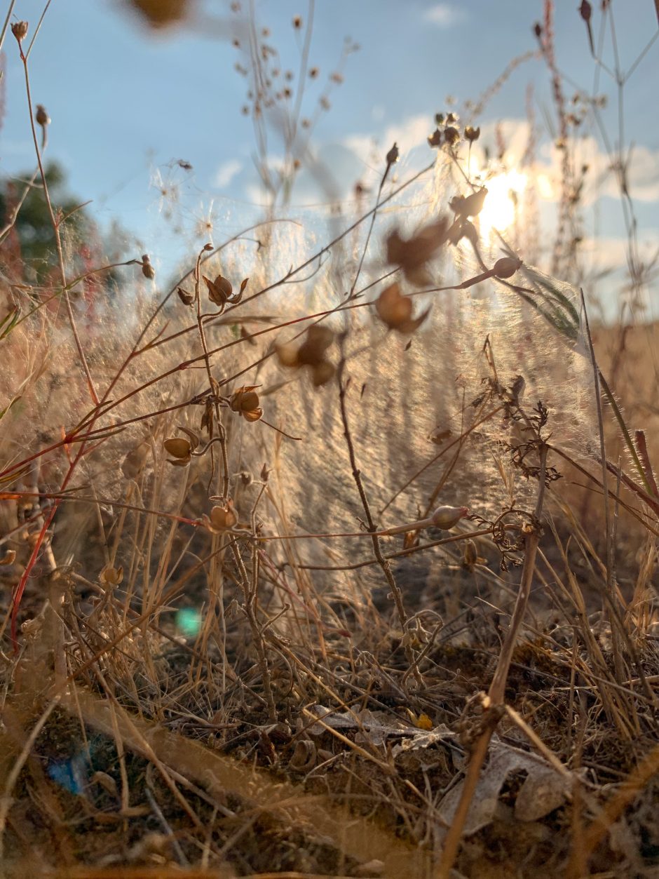 La soledad no cura nada