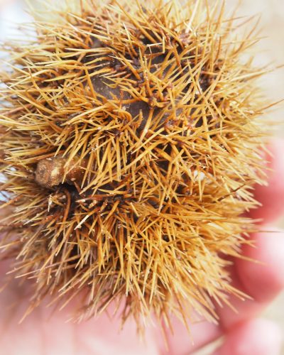 Una red donde miro y están ellas