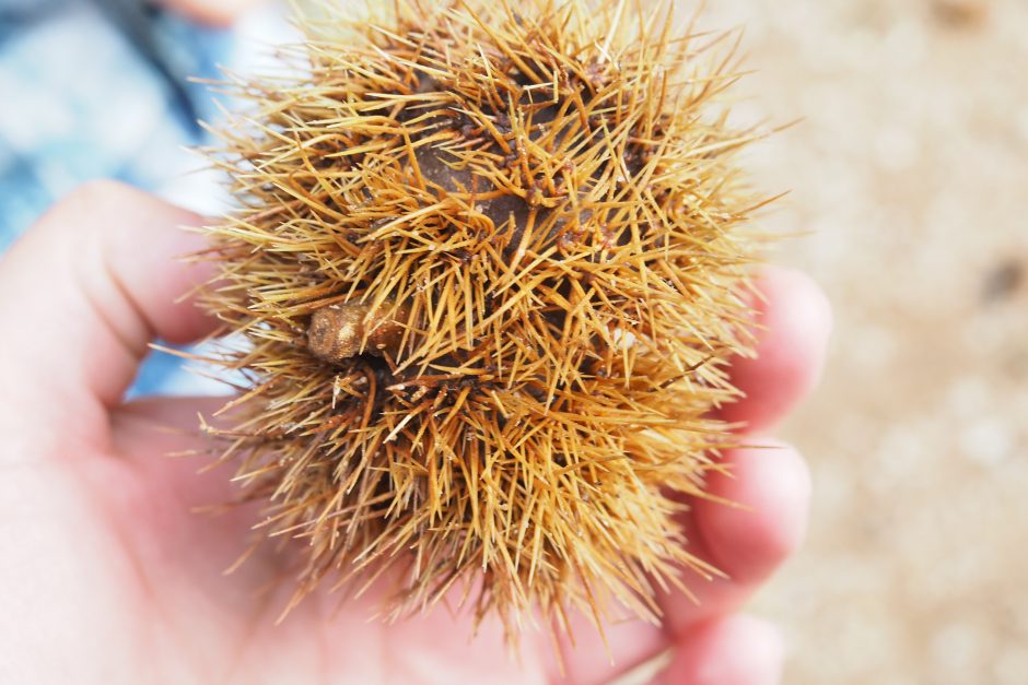 Una red donde miro y están ellas