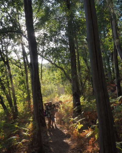 Los fotogramas y el audio