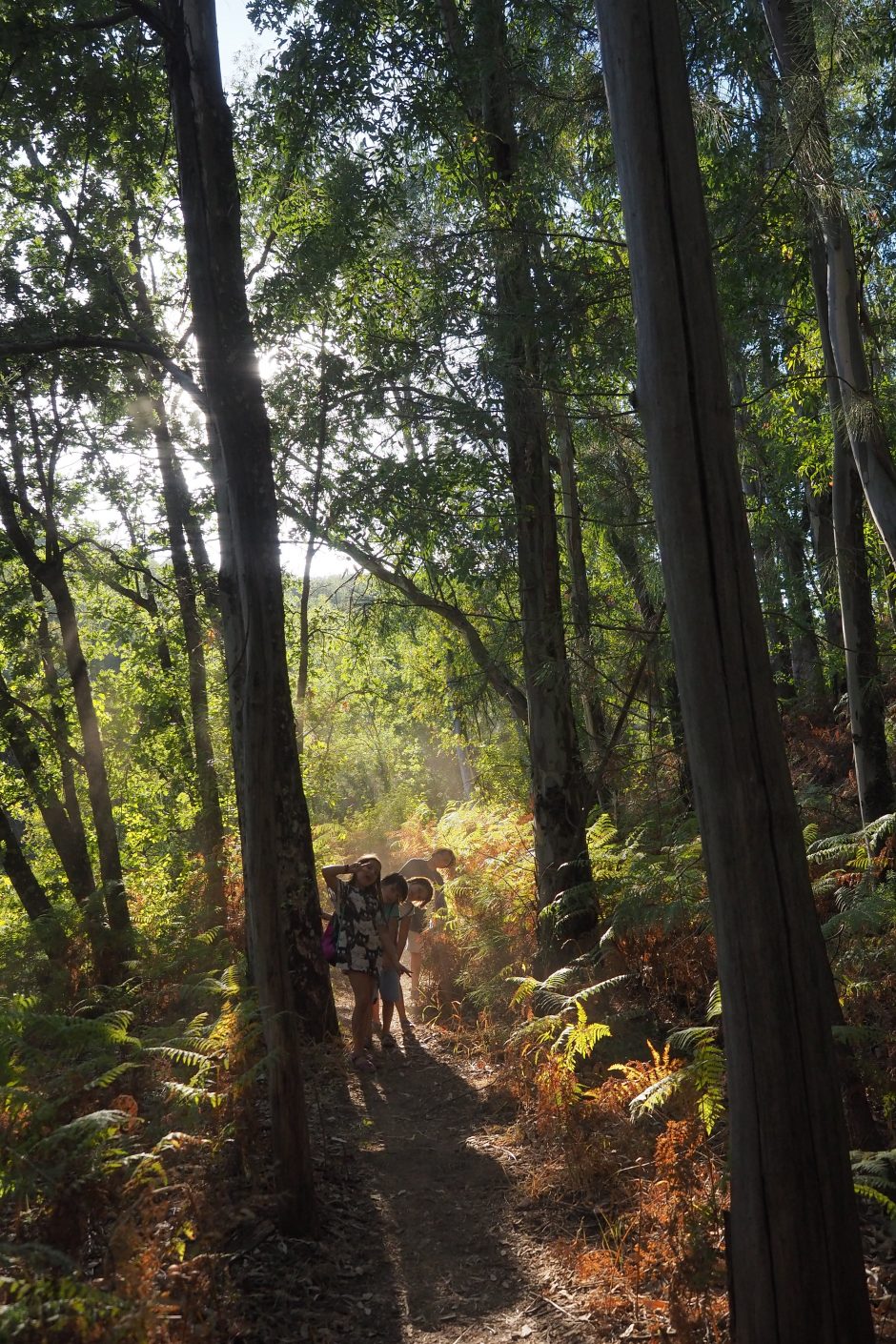 Los fotogramas y el audio